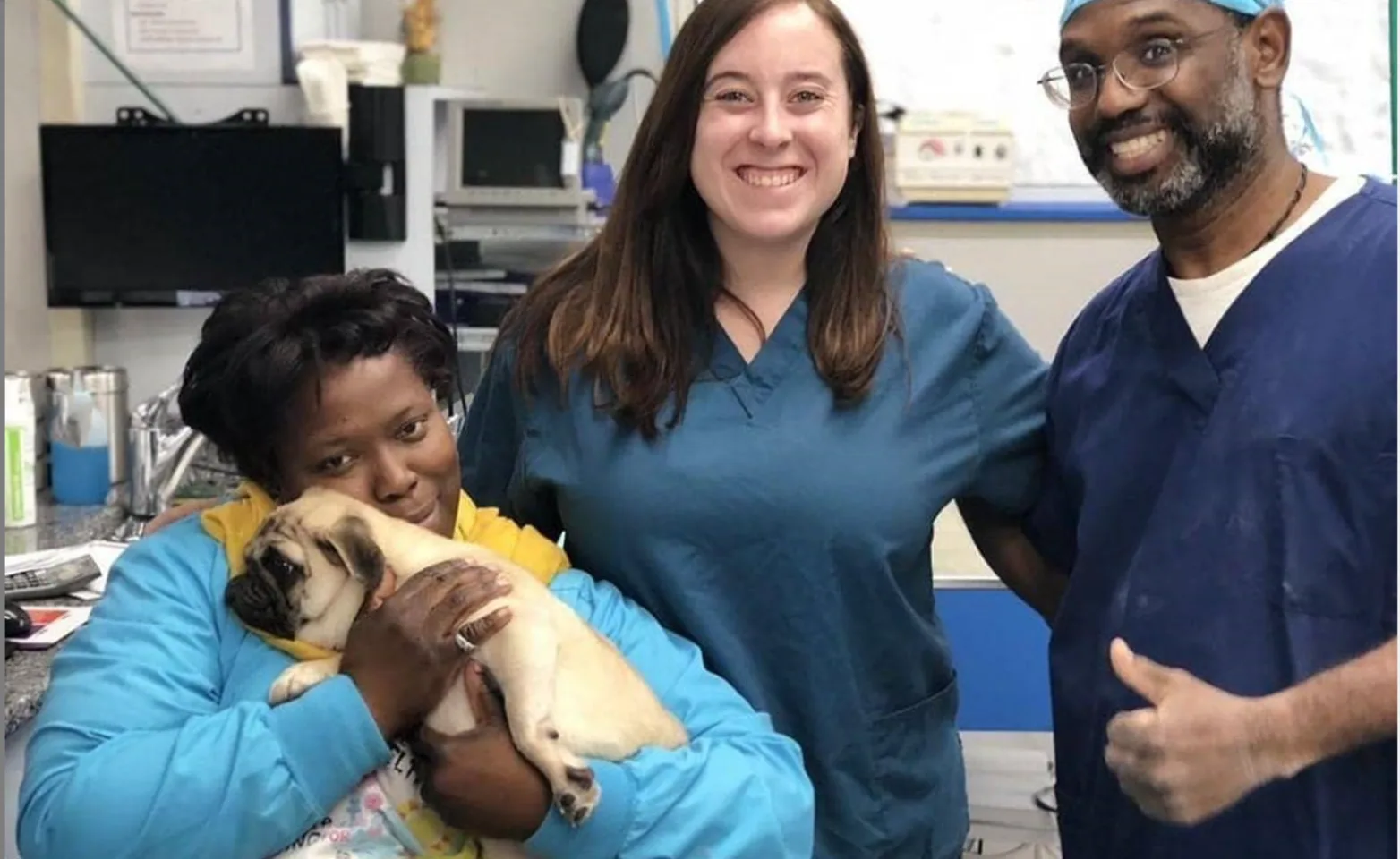 Employees and Veterinarians with a dog